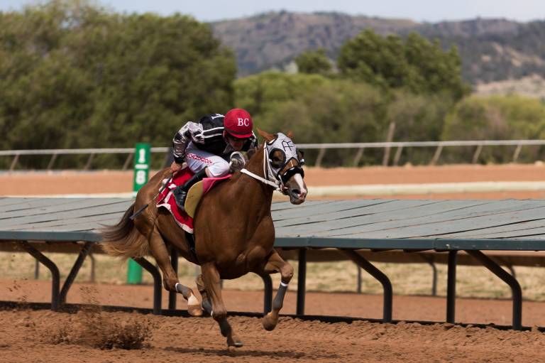 Horse racing best bets for Aqueduct and Del Mar – December 2