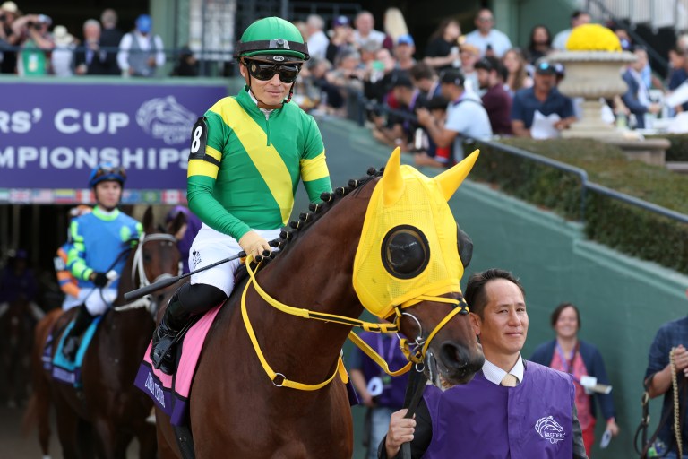 Mr. Ed’s Best Bets for Gulfstream on Saturday, December 9