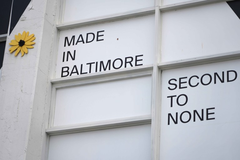 Pimlico Picks: Black-Eyed Susan Stakes 2024 Entries, Horses, Odds, and Predictions