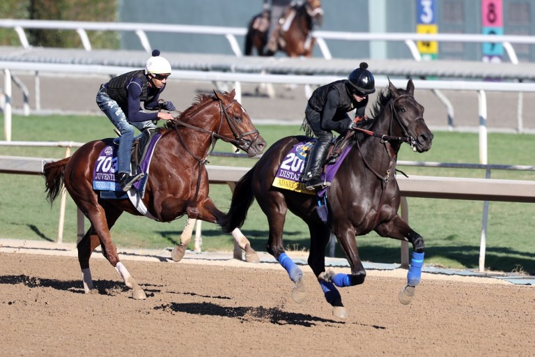 Del Mar Picks: Pacific Classic 2024 Date, Entries, Horses, Odds, and Predictions