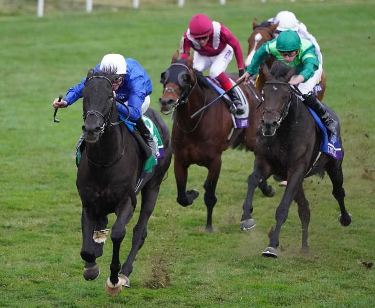 Breeders’ Cup Turf Horse Racing Picks and Predictions