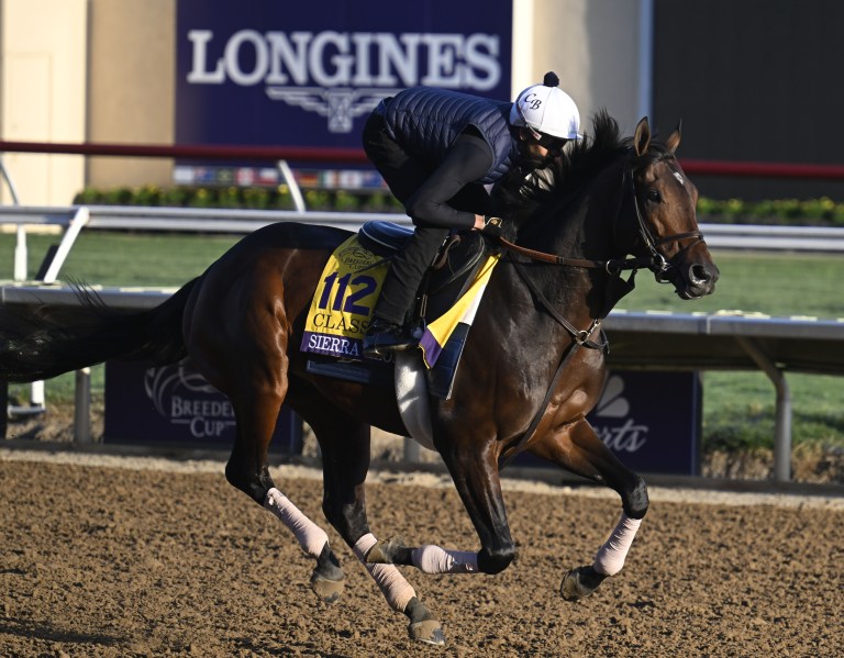 Breeders’ Cup Classic Horse Racing Picks and Predictions