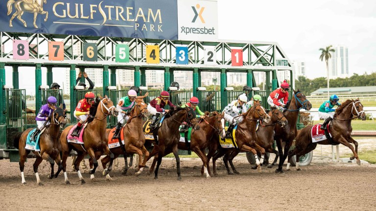 Gulfstream Picks for Sunday, January 26