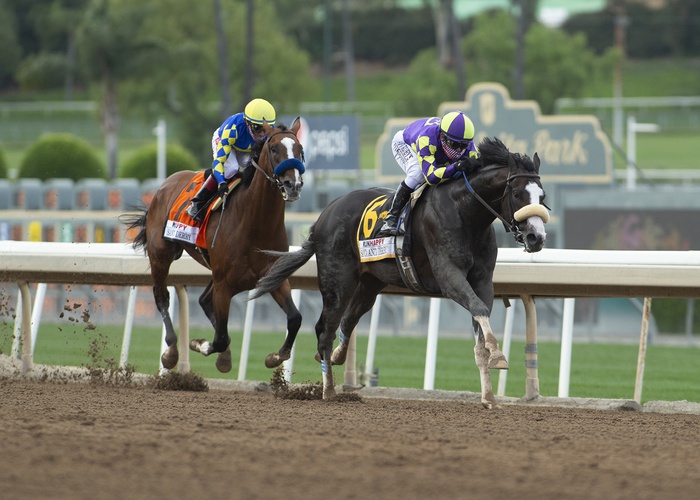 Wood Memorial and Santa Anita Derby Picks for Saturday, April 5 from Mike Somich